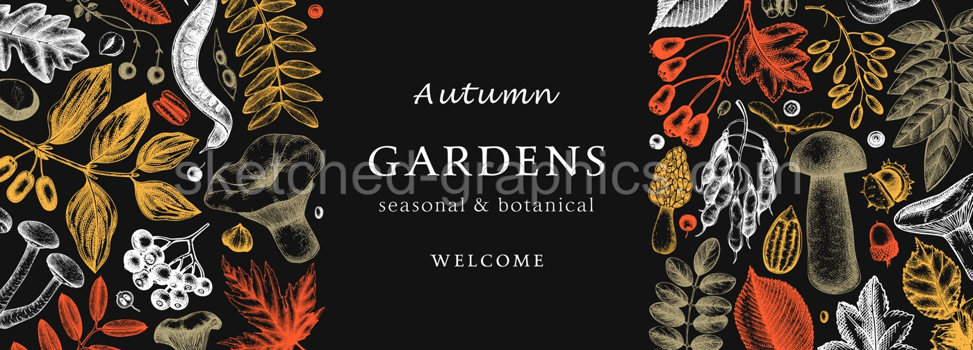 Hand sketched autumn design in color. Elegant and trendy botanical template with autumn leaves, pumpkins, berries, mushrooms, nuts drawings. Vintage plants template. Autumn food background. Illustration